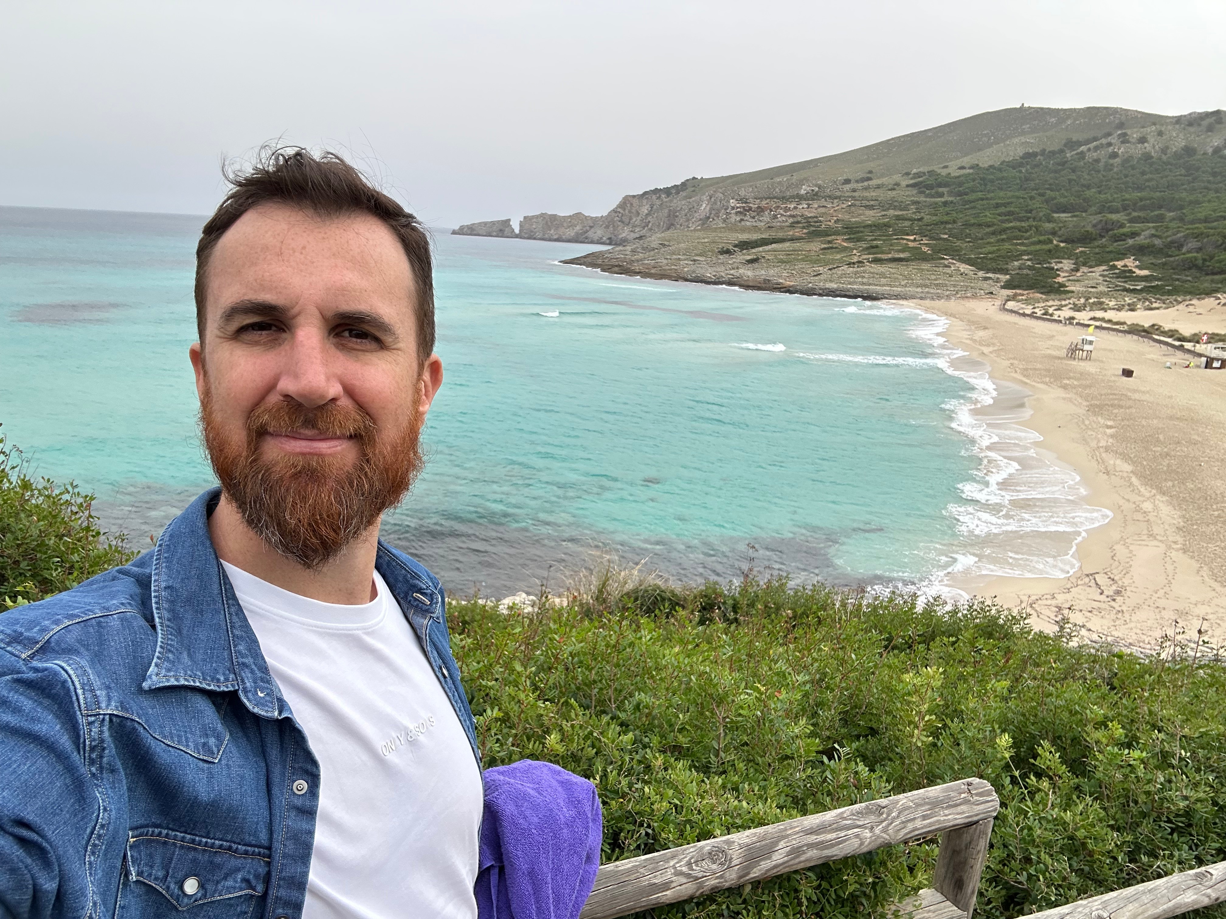 Logo on colored background